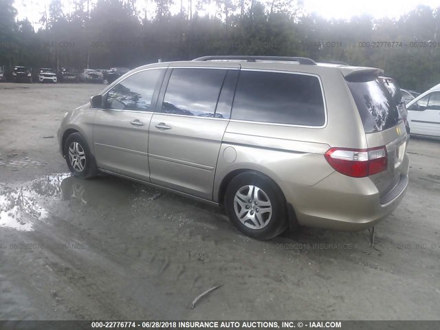 5FNRL38675B017749 - 2005 HONDA ODYSSEY EXL BEIGE photo 3