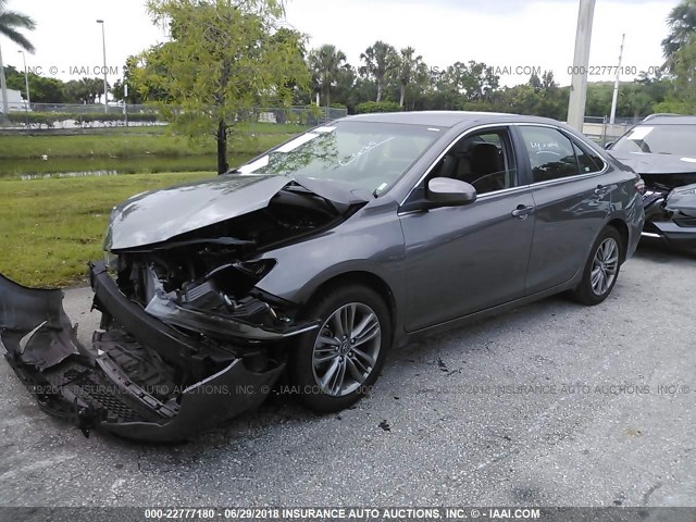 4T1BF1FK8HU711175 - 2017 TOYOTA CAMRY LE/XLE/SE/XSE GRAY photo 2