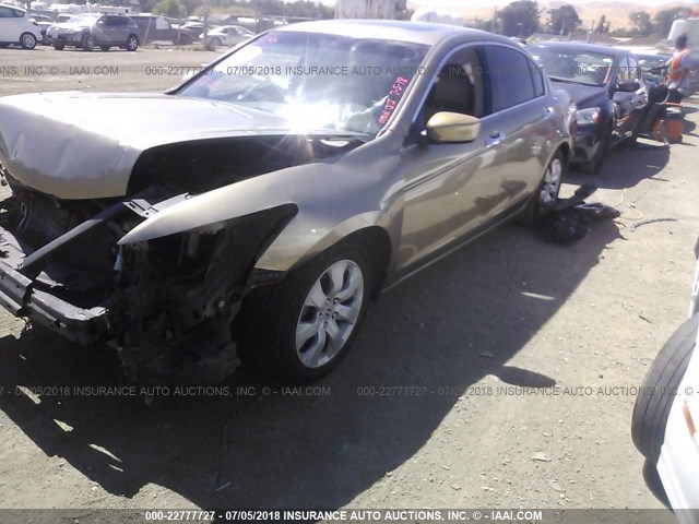 1HGCP36859A027789 - 2009 HONDA ACCORD EXL BEIGE photo 2