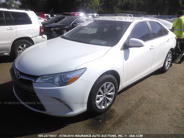 4T4BF1FK4GR526514 - 2016 TOYOTA CAMRY LE/XLE/SE/XSE WHITE photo 2