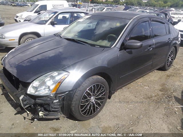 1N4BA41E95C831516 - 2005 NISSAN MAXIMA SE/SL GRAY photo 2