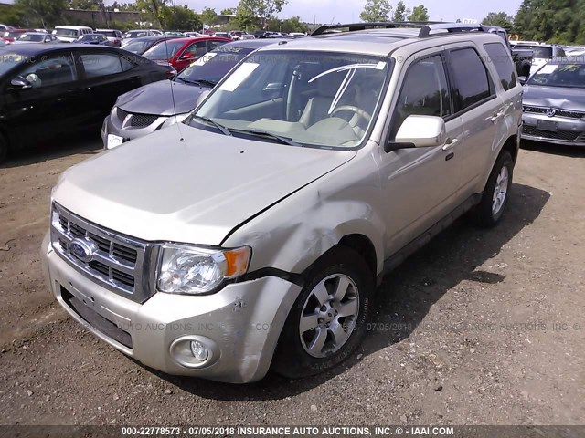 1FMCU0E74BKA77917 - 2011 FORD ESCAPE LIMITED TAN photo 2