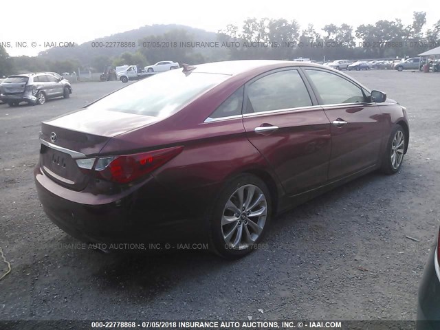 5NPEC4AC6DH585494 - 2013 HYUNDAI SONATA SE/LIMITED RED photo 4