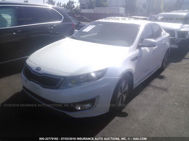 KNAGM4AD5D5039507 - 2013 KIA OPTIMA HYBRID WHITE photo 2