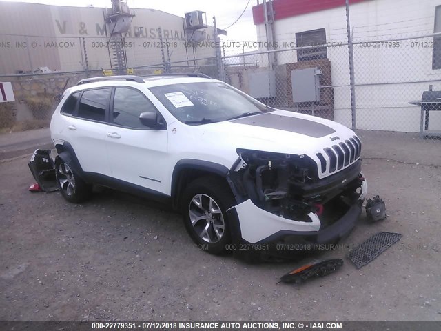 1C4PJMBSXEW125528 - 2014 JEEP CHEROKEE TRAILHAWK თეთრი ფოტო 1