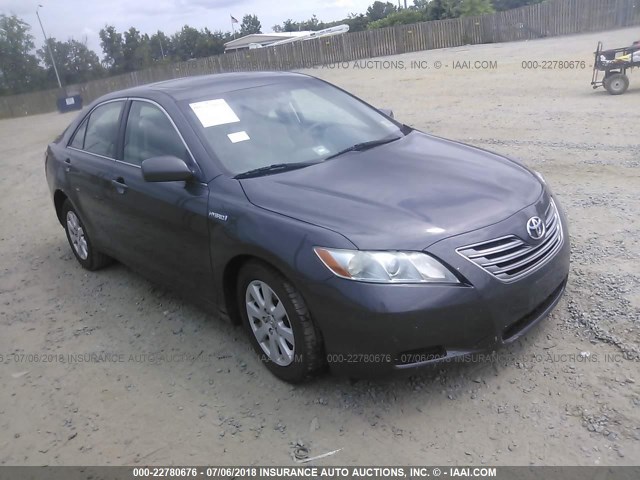 4T1BB46K58U044353 - 2008 TOYOTA CAMRY HYBRID GRAY photo 1