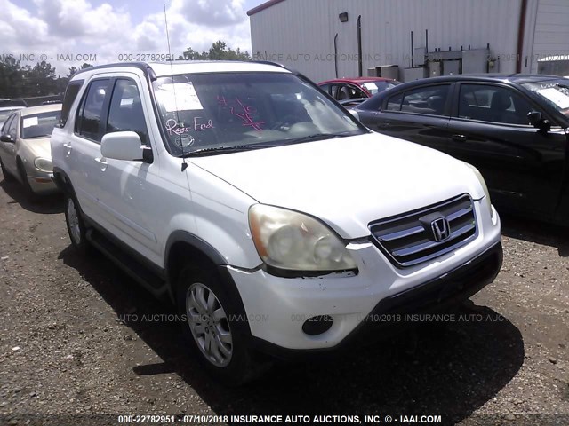 JHLRD78905C064457 - 2005 HONDA CR-V SE/EX WHITE photo 1