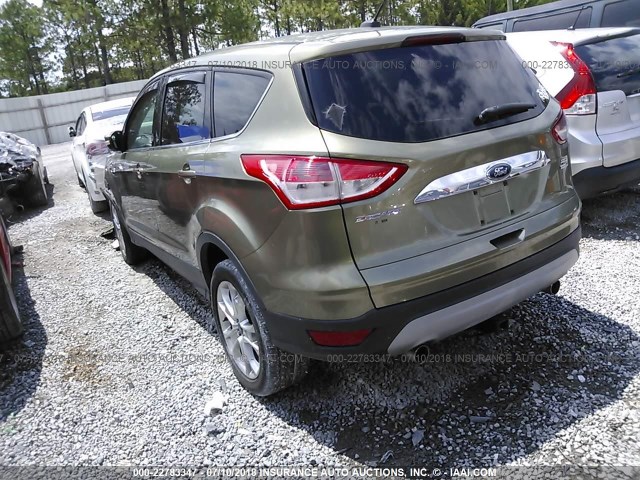 1FMCU9H94DUC88415 - 2013 FORD ESCAPE SEL GREEN photo 3