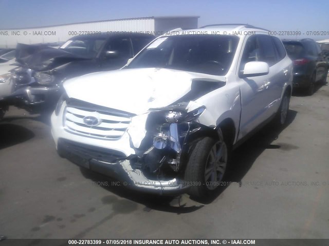 5NMSH4AG1AH394386 - 2010 HYUNDAI SANTA FE SE WHITE photo 2