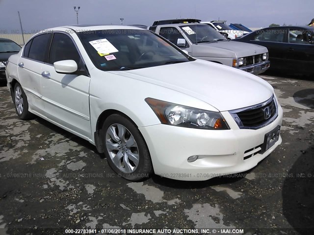 1HGCP36888A078041 - 2008 HONDA ACCORD EXL WHITE photo 1