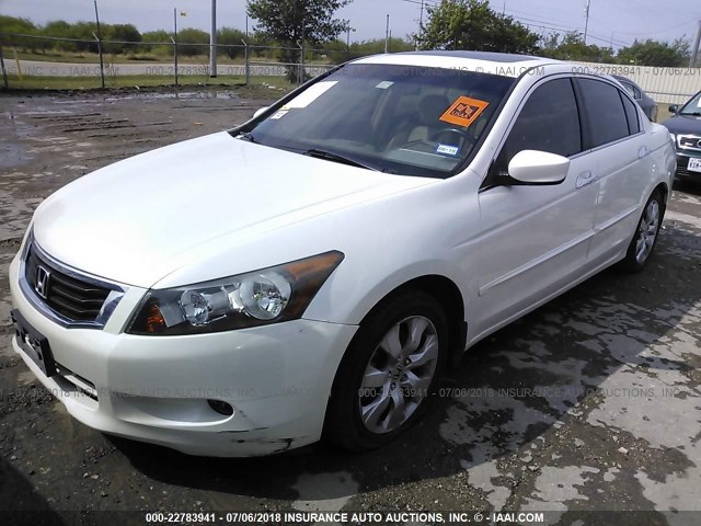 1HGCP36888A078041 - 2008 HONDA ACCORD EXL WHITE photo 2