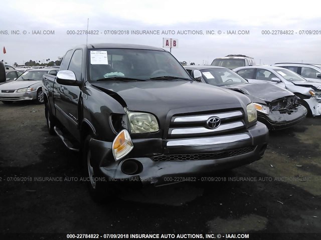 5TBRU341X5S443544 - 2005 TOYOTA TUNDRA ACCESS CAB SR5 GRAY photo 6