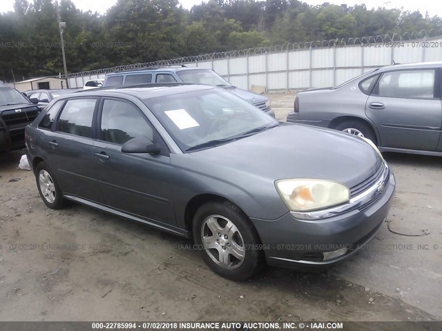 1G1ZU64854F232782 - 2004 CHEVROLET MALIBU MAXX LT GRAY photo 1