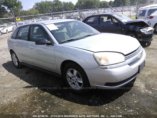 1G1ZT64804F155581 - 2004 CHEVROLET MALIBU MAXX LS SILVER photo 1