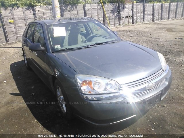 1G1ZT64825F320354 - 2005 CHEVROLET MALIBU MAXX LS GRAY photo 1