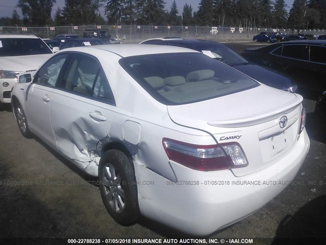 4T1BB46K28U036775 - 2008 TOYOTA CAMRY HYBRID WHITE photo 3