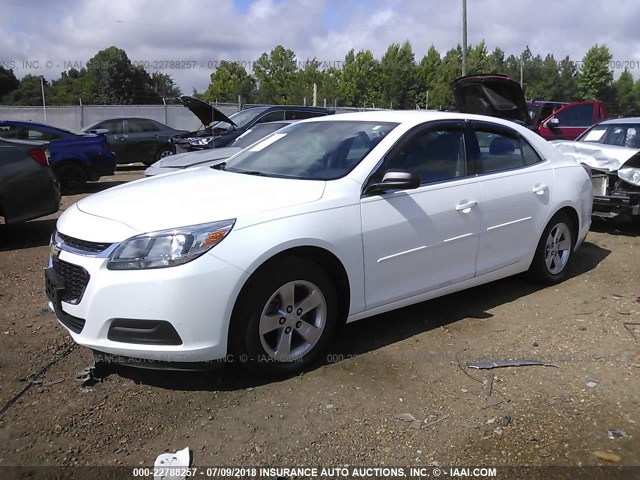 1G11B5SL2EF274137 - 2014 CHEVROLET MALIBU LS 白色 照片 2