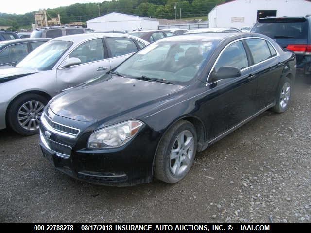 1G1ZC5E04AF175881 - 2010 CHEVROLET MALIBU 1LT შავი ფოტო 2