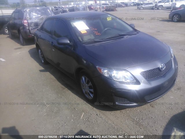 2T1BU40E49C136800 - 2009 TOYOTA COROLLA S/LE/XLE Boz foto 1