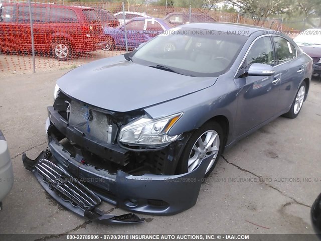 1N4AA5AP9AC817063 - 2010 NISSAN MAXIMA S/SV BLUE photo 2