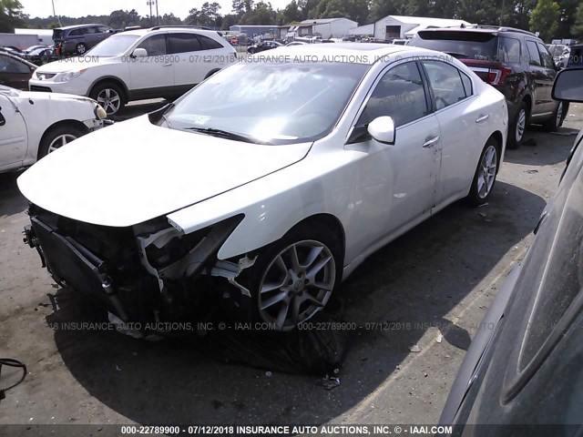 1N4AA51EX9C825652 - 2009 NISSAN MAXIMA S/SV WHITE photo 2