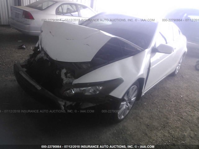 1HGCS21888A014050 - 2008 HONDA ACCORD EXL WHITE photo 2