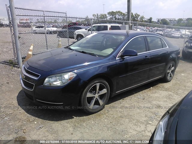 1G1ZC5E16BF301524 - 2011 CHEVROLET MALIBU 1LT BLUE photo 2