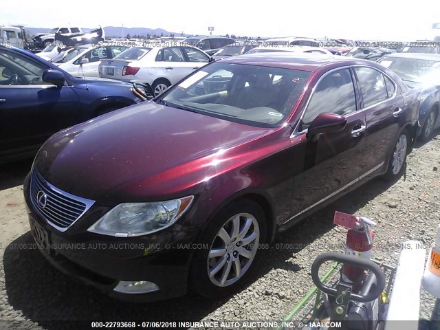 JTHBL46F885067851 - 2008 LEXUS LS 460 栗色 照片 2
