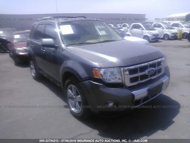 1FMCU0EG9AKA31692 - 2010 FORD ESCAPE LIMITED GRAY photo 1