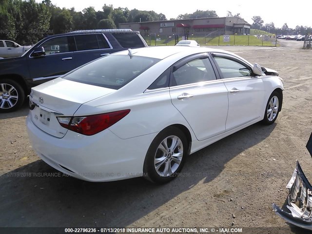 5NPEC4AC6BH256632 - 2011 HYUNDAI SONATA SE/LIMITED WHITE photo 4