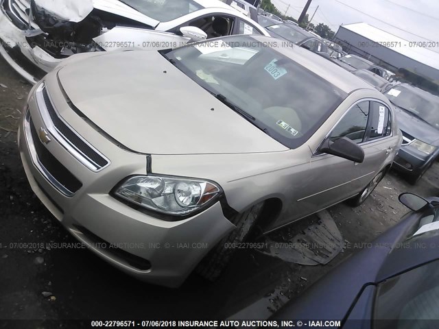1G1ZB5E09CF195081 - 2012 CHEVROLET MALIBU LS Qızıl foto 2