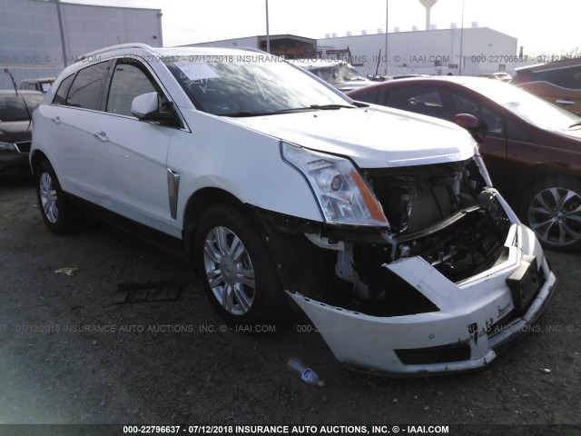 3GYFNCE37DS593056 - 2013 CADILLAC SRX LUXURY COLLECTION WHITE photo 1