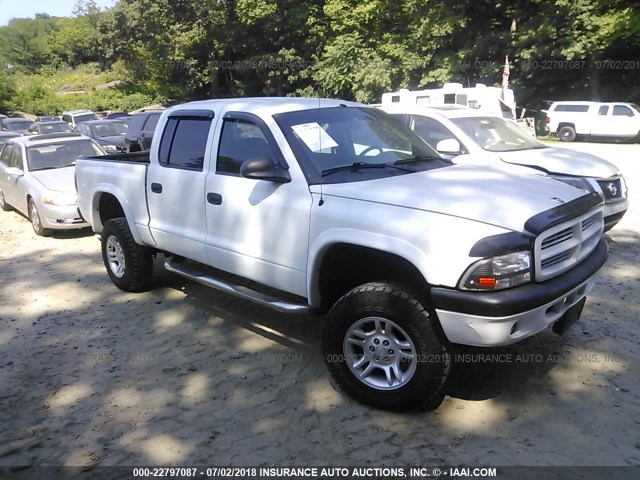 1B7HG38N22S626415 - 2002 DODGE DAKOTA QUAD SPORT/QUAD R/T WHITE photo 1