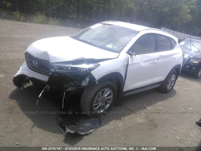 KM8J3CA48JU714804 - 2018 HYUNDAI TUCSON LIMITED/SPORT AND ECO/SE WHITE photo 2