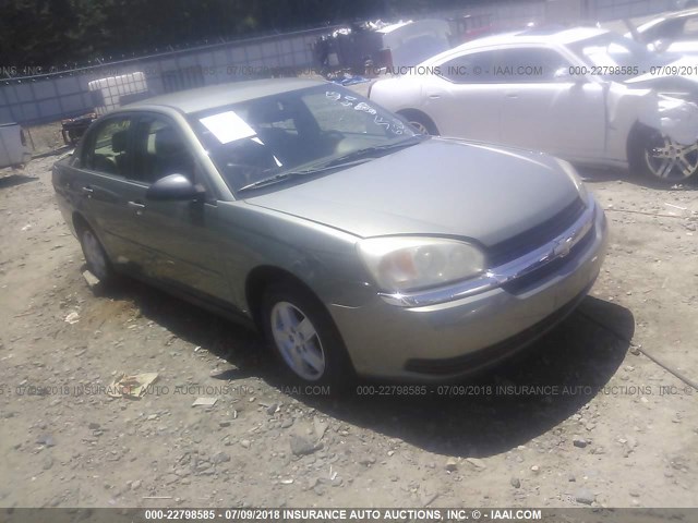 1G1ZT52805F281910 - 2005 CHEVROLET MALIBU LS მწვანე ფოტო 1