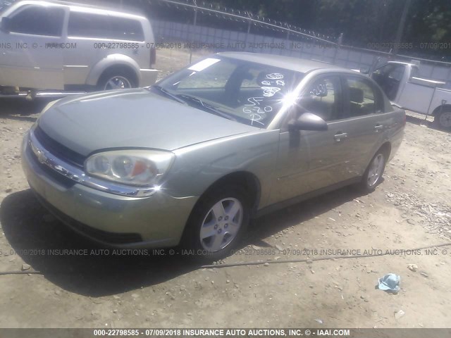 1G1ZT52805F281910 - 2005 CHEVROLET MALIBU LS მწვანე ფოტო 2