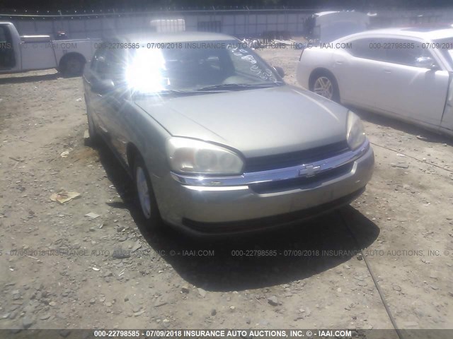 1G1ZT52805F281910 - 2005 CHEVROLET MALIBU LS მწვანე ფოტო 6