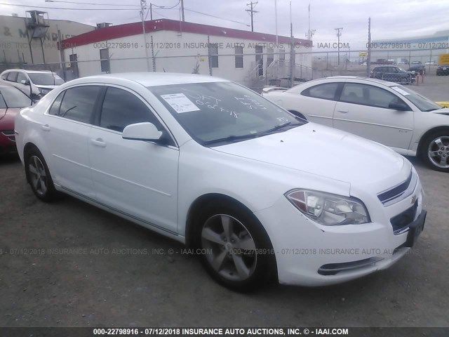 1G1ZC5E15BF153754 - 2011 CHEVROLET MALIBU 1LT თეთრი ფოტო 1