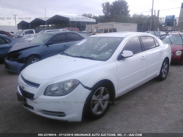 1G1ZC5E15BF153754 - 2011 CHEVROLET MALIBU 1LT თეთრი ფოტო 2