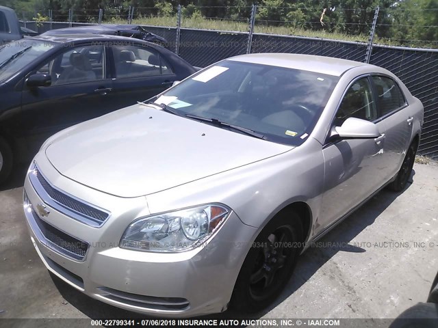 1G1ZC5EB7AF288662 - 2010 CHEVROLET MALIBU 1LT 金色 照片 2