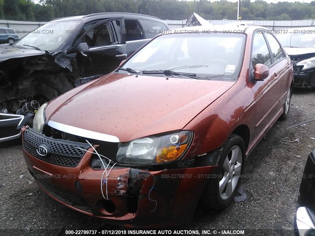 KNAFE221395027073 - 2009 KIA SPECTRA EX/LX/SX ORANGE photo 2