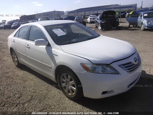 4T1BB46K67U009531 - 2007 TOYOTA CAMRY NEW GENERAT HYBRID WHITE photo 1