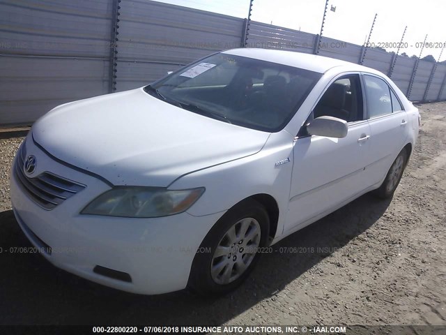 4T1BB46K67U009531 - 2007 TOYOTA CAMRY NEW GENERAT HYBRID WHITE photo 2