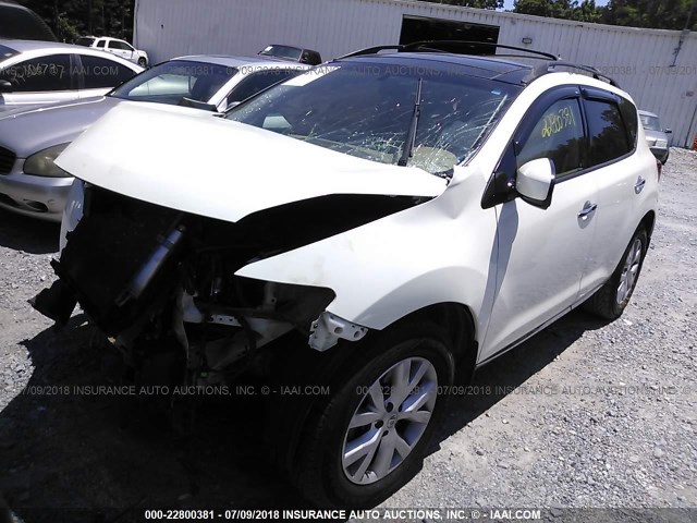 JN8AZ1MU8BW068774 - 2011 NISSAN MURANO S/SL/LE WHITE photo 2