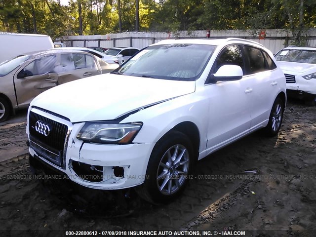 WA1LKAFP0AA056415 - 2010 AUDI Q5 PREMIUM PLUS WHITE photo 2