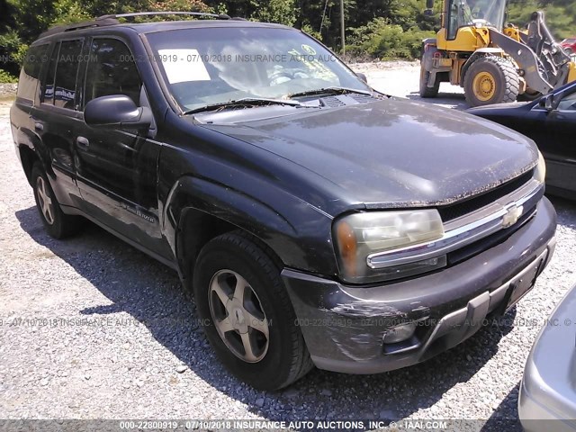 1GNDS13SX32191604 - 2003 CHEVROLET TRAILBLAZER  BLACK photo 1