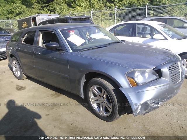 2D4FV47T56H236007 - 2006 DODGE MAGNUM SE GRAY photo 1