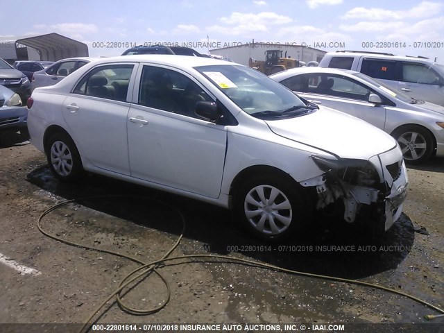 1NXBU40E89Z022619 - 2009 TOYOTA COROLLA S/LE/XLE WHITE photo 1