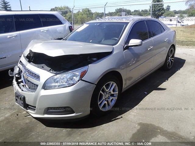 1G11C5SA8DF345643 - 2013 CHEVROLET MALIBU 1LT 米色 照片 2
