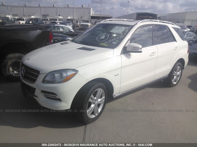 4JGDA5HB7CA074107 - 2012 MERCEDES-BENZ ML 350 4MATIC WHITE photo 2